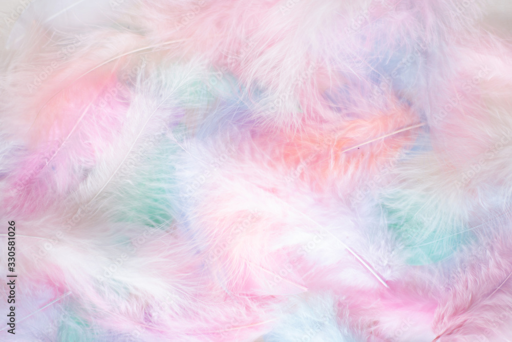 Color feather texture background Color feather texture background