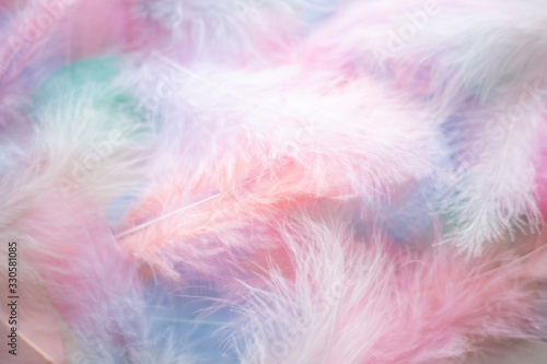 Color feather texture background