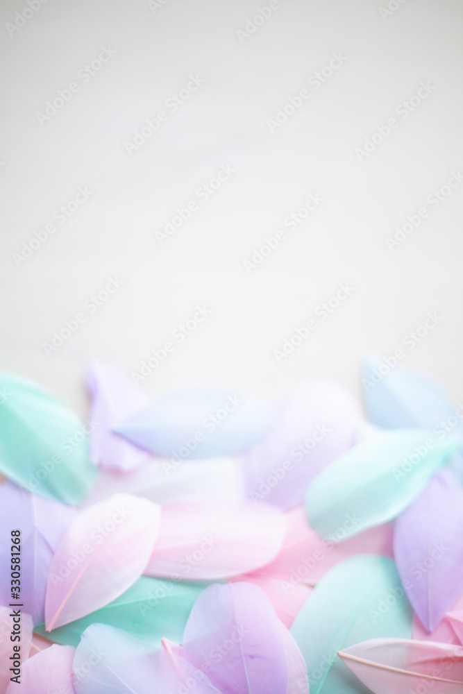 Color feather texture background Color feather texture background
