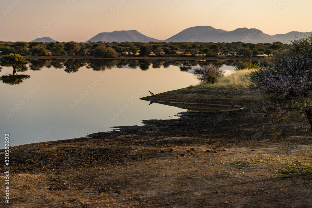 Namibia, Africa. Southeast of Omaruru. Winter sunrise over a waterhole with wild birds and reflections.