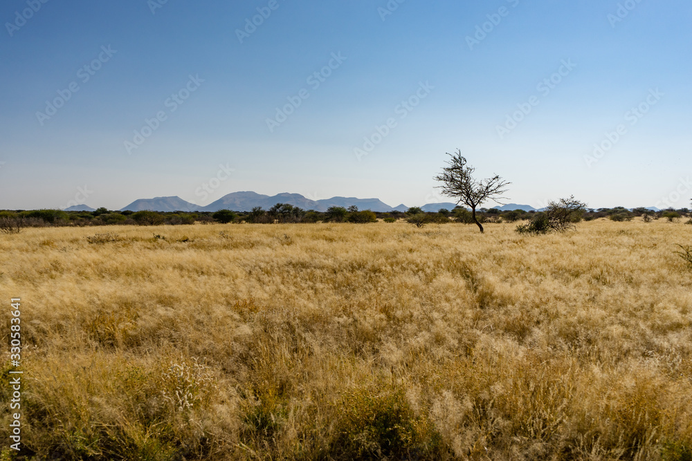 Erindi, Namibia, located southeast of Omaruru. The African wilderness. Erindi, Namibia, located southeast of Omaruru. The African wilderness.