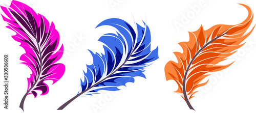 pink  blue  orange feather in different angles isolated on white background