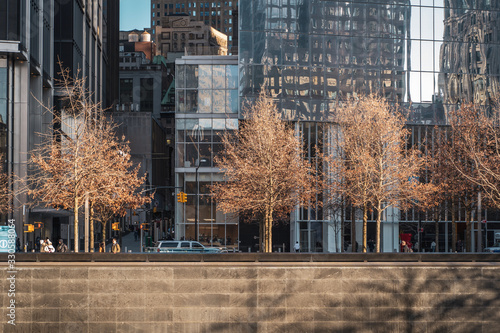 brown trees during autumn winter at the 9/11 national memorial in front of glass skyscraper. New york city wall street one world trade center