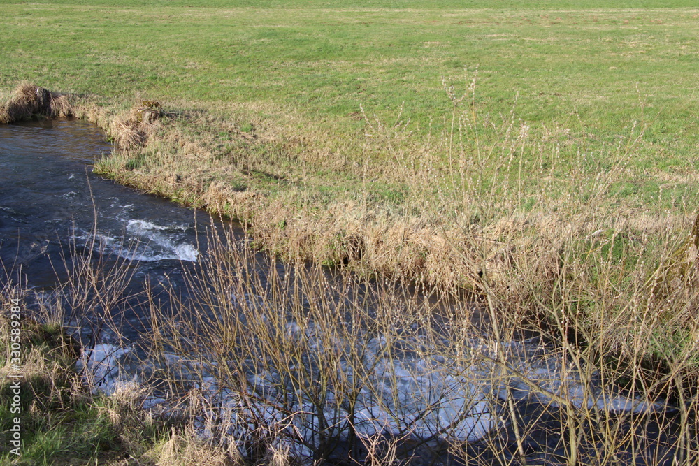 Bachlauf der Trubach in Oberfranken im Frühling