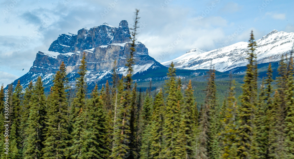 Floresta de pinheiros e montanhas nevadas na região do parque jasper no Canada 