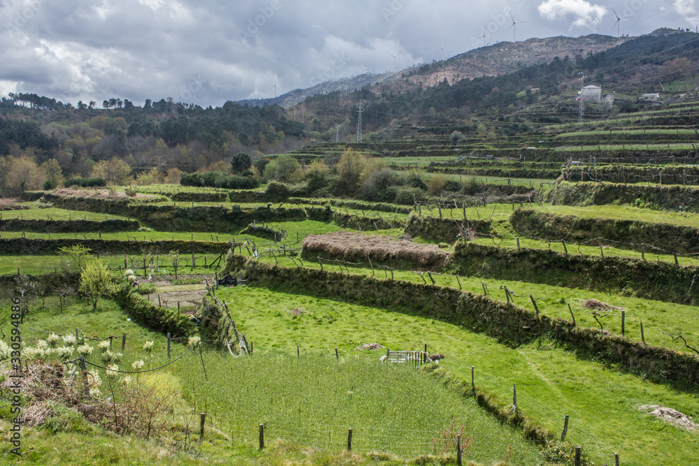 Região de turismo agrário e plantações no interior de Portugal