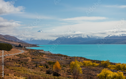 Beautiful view of bluish Pukaki lake with autumnal trees in the foreground and snowy Mount Cook in the background taken on a sunny day, New Zealand