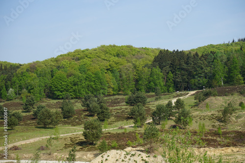 Heidefläche Wistinghauser Senne an der Sandgrube bei Oerlinghausen, Teutoburger Wald, Kreis Lippe, Ostwestfalen