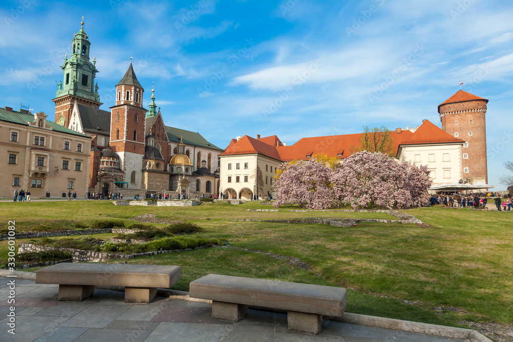 Wawel cathedral with blossom magnolia at spring time, Krakow, Poland