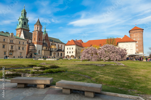 Wawel cathedral with blossom magnolia at spring time, Krakow, Poland