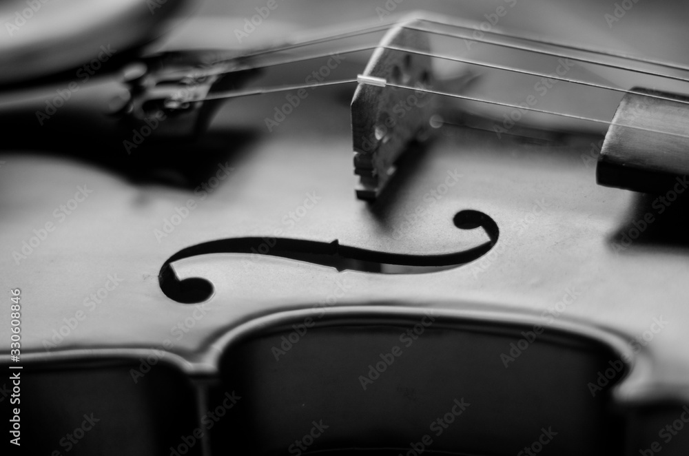 Violin <span>plik: #330608846 | autor: cam_pine</span>
