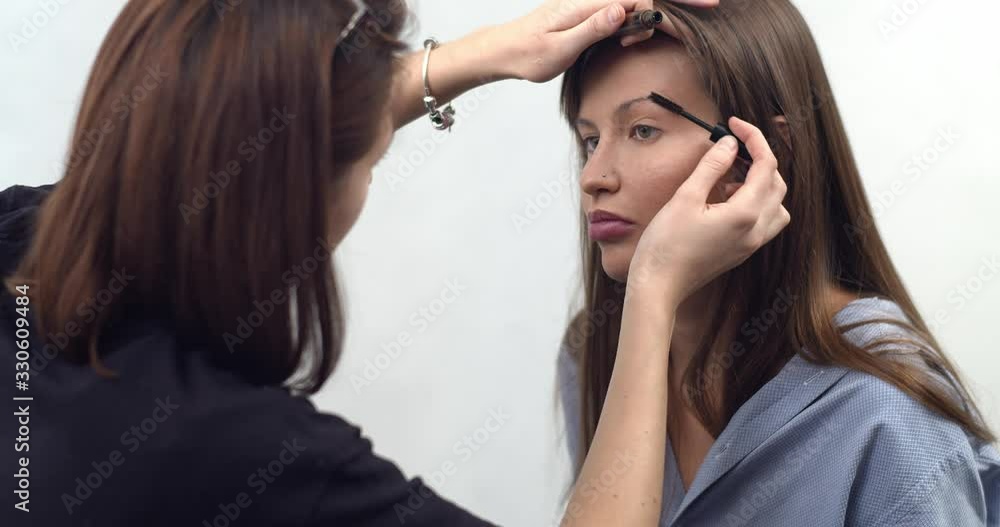 professional makeup artist applies makeup, eye shadow for brown eyebrows with a brush professional makeup artist applies makeup, eye shadow for brown eyebrows with a brush
