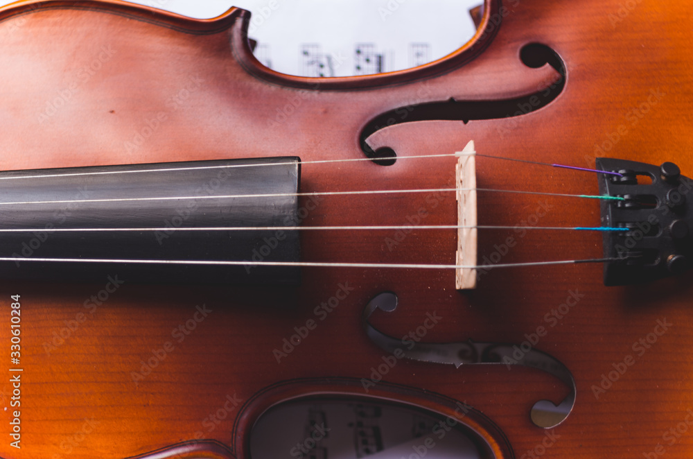 Naklejka premium Violin