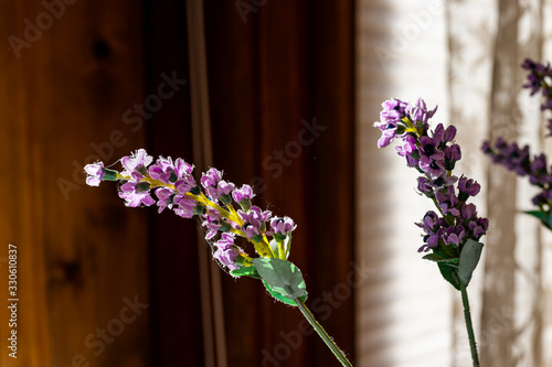Purple lavender flowers macro closeup bouquet arrangement inside vase potted plant closeup against wall curtains blinds in background