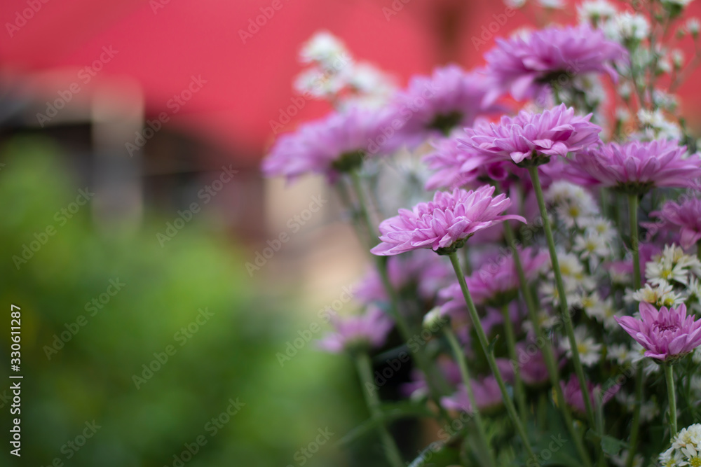 Fototapeta premium a selective focus of fresh flowers for background