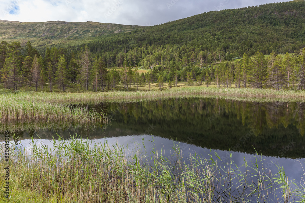 rural lake landscape, Norway, Olden, green hills seaside. fjord in summer. selective focus.