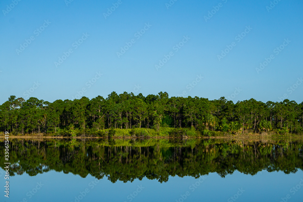 Green pine trees reflected on a smooth lake with clear blue skies, Halpatiokee Regional Park, Stuart, Florida, USA Green pine trees reflected on a smooth lake with clear blue skies, Halpatiokee Regional Park, Stuart, Florida, USA