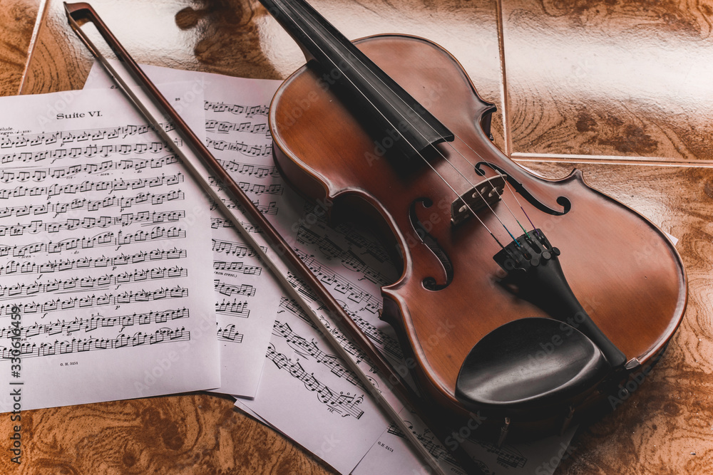 Fototapeta premium Violin