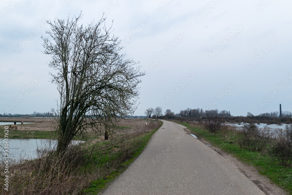 road in a Dutch polder landscape