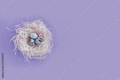 Small beautiful quail eggs in the hay nest on the plain background top view