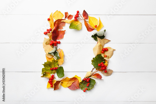 Letter D from autumn leaves on white wooden background. School and autumn alphabet. Fall mood font. Back to school. Colorful autumn ABC. Text from yellow and green leaves and Rowan berries