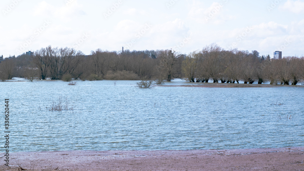 shrubs in water in the Ooijpolder