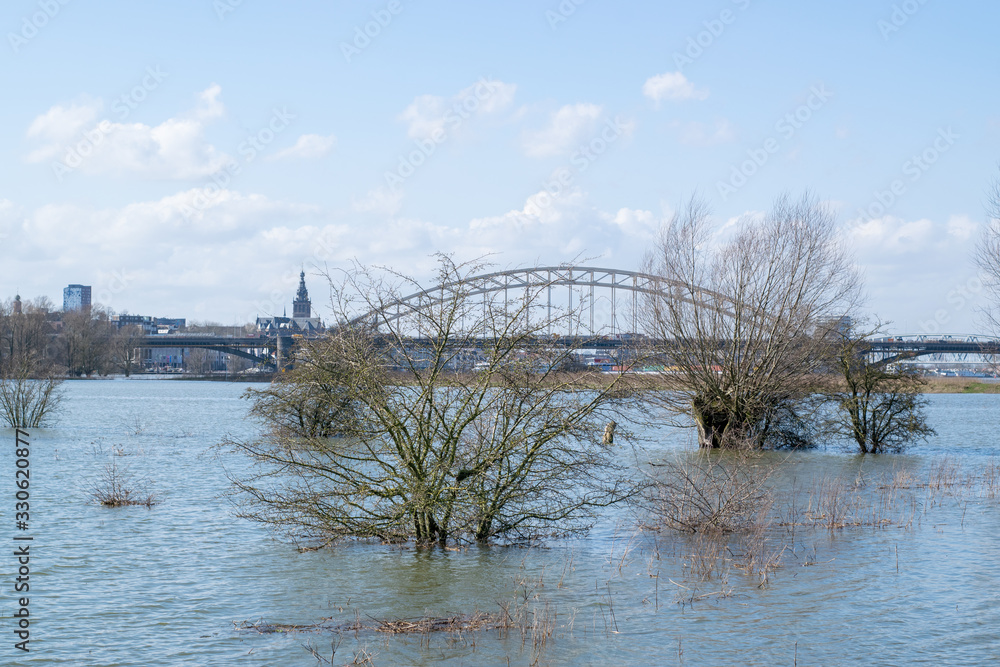 Tree’s in flooded water in waal