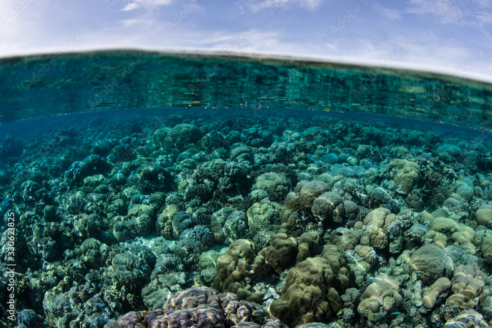 Reef-building corals cover the shallow seafloor in Papua New Guinea. This tropical region is part of the Coral Triangle due to its amazing marine biodiversity.