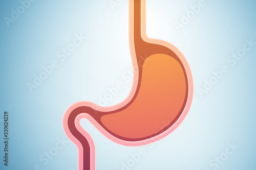 Schilderij op canvas Stomach illustration in medical concept