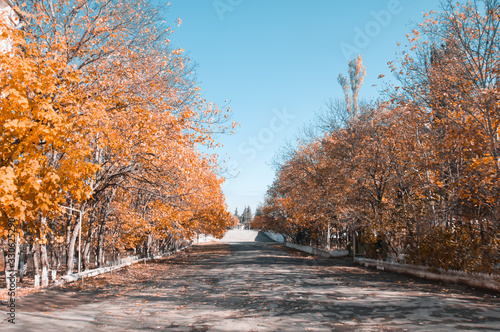 Majestic autumn trees glowing by sunlight. Red and yellow autumn leaves. Dramatic scene. Azerbaijan
