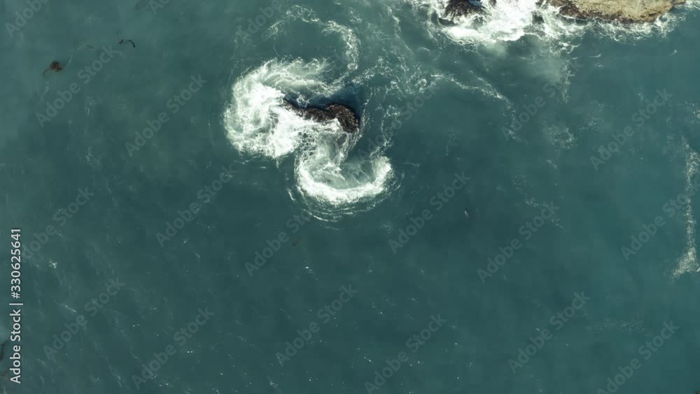 Dolphins play in Pacific Ocean near Bixby Creek Bridge Big Sur California Dolphins play in Pacific Ocean near Bixby Creek Bridge Big Sur California
