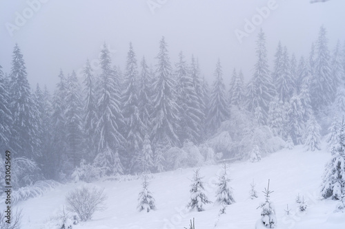 Winter snow-covered trees