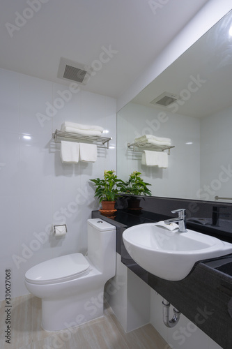 Toilet bowl in the bathroom interior architecture of rest room and decorative design