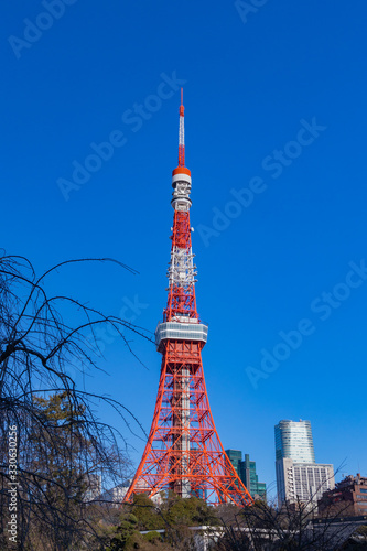 青空の東京タワー