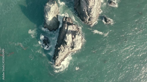 Dolphins play in Pacific Ocean near Bixby Creek Bridge Big Sur California