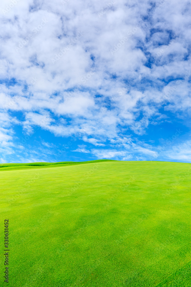 Green grass field and blue sky with white clouds.