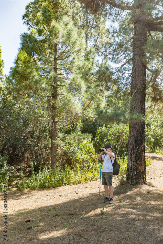 A young traveler in a cap with a backpack stands in the shade of a pine tree and takes pictures. Pine tree forest with dry pine leafs needles carpet near the Volcano Arenas Negras. Tenerife A young traveler in a cap with a backpack stands in the shade of a pine tree and takes pictures. Pine tree forest with dry pine leafs needles carpet near the Volcano Arenas Negras. Tenerife