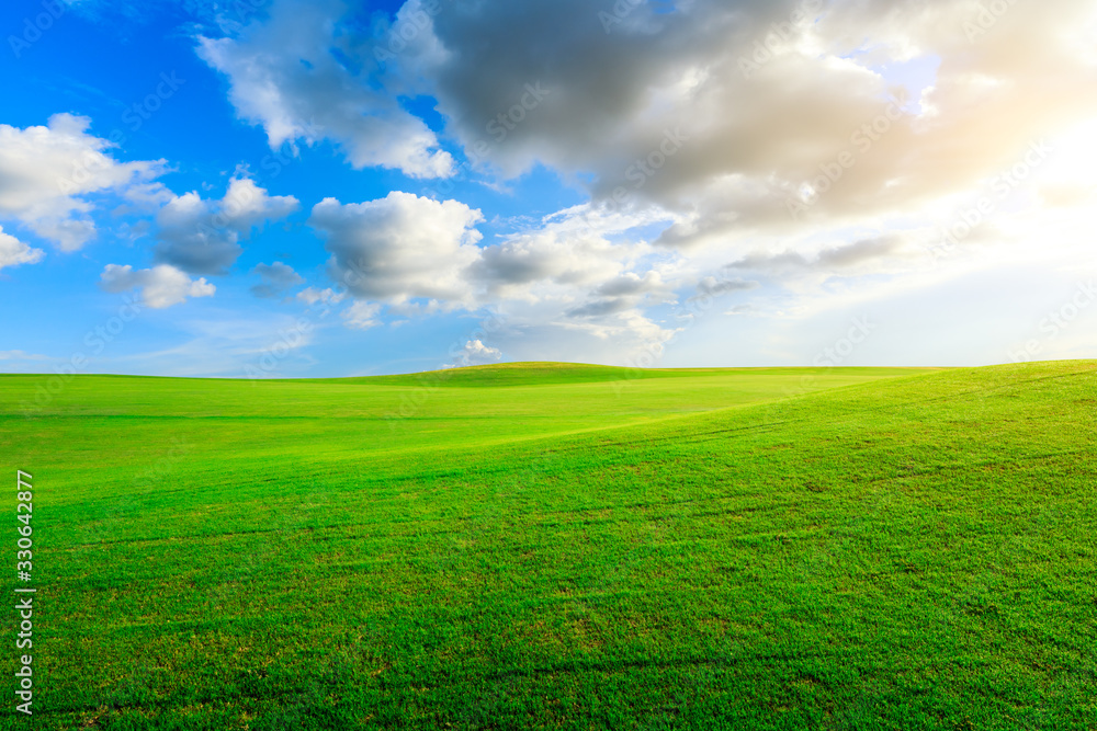 Obraz premium Green grass field and blue sky with white clouds.