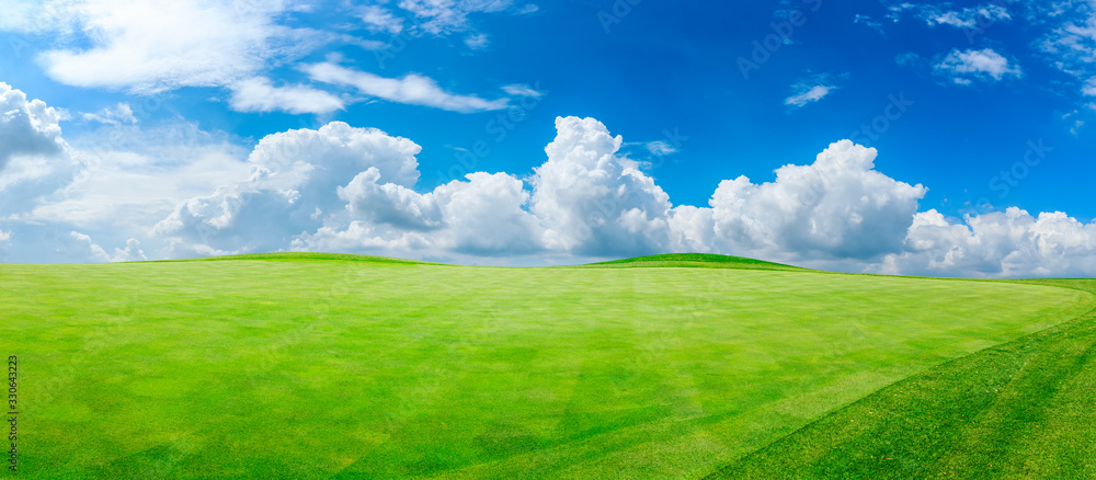 Fototapeta premium Green grass field and blue sky with white clouds,panoramic view.