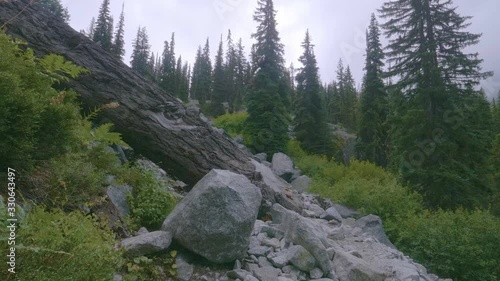 An ecological cascade with huge rocks and plenty of tall pine trees in North America. - Wide Shot photo