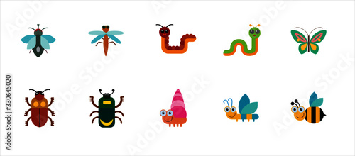 ladybug on white background