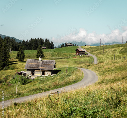 houses by road