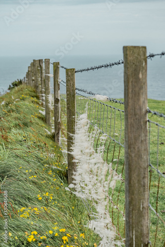 fence with wool