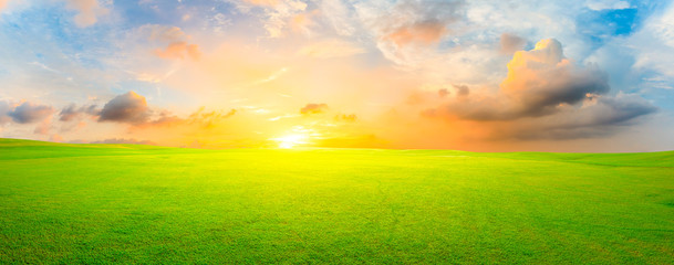 Green grass field and colorful sky clouds at sunset,panoramic view.