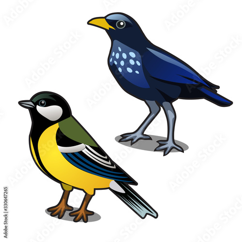 Bird blue tit and jackdaw isolated on white background. Vector cartoon close-up illustration.