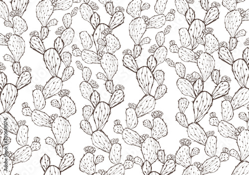 レトロなサボテン柄の背景素材　白　手書きイラスト　メニュー表　植物柄