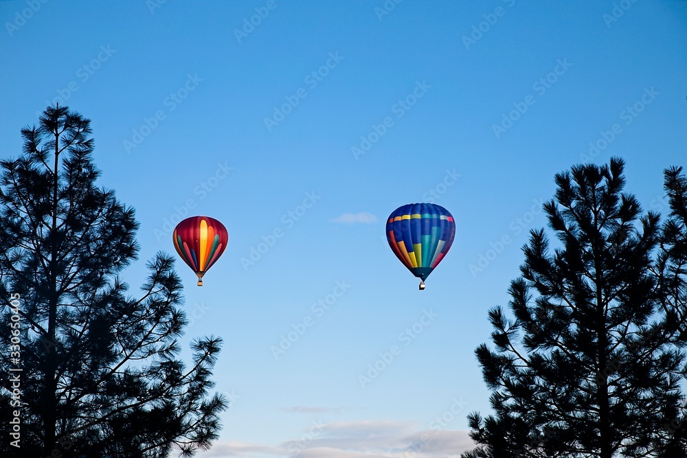Fototapeta premium I was watching the ballons fill and take off as these two came in from behind the crowd