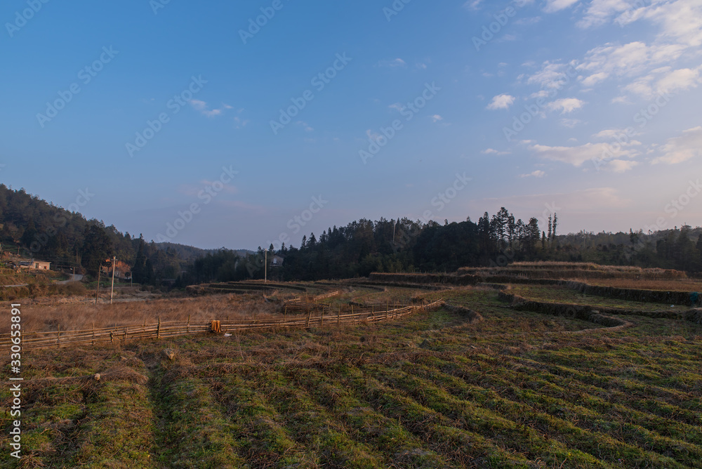 The countryside at dusk, the hazy mountains and the yellow fields The countryside at dusk, the hazy mountains and the yellow fields
