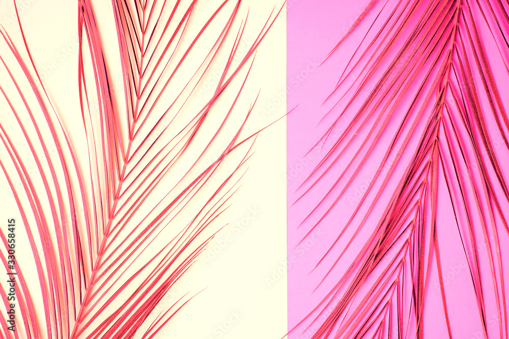 Fototapeta Tropical palm leaves on pink background