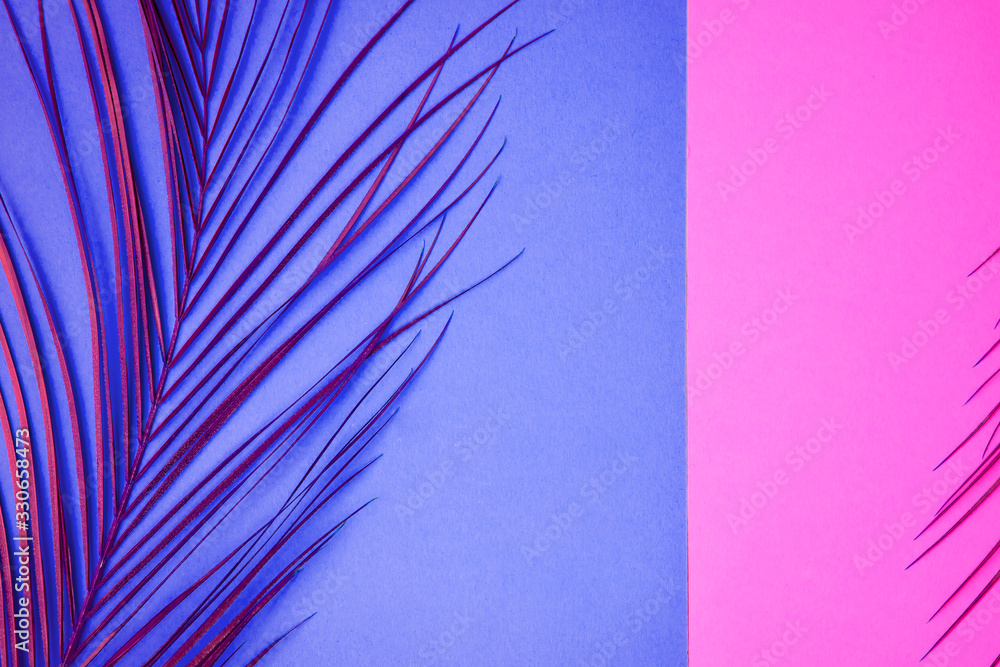 Fototapeta Tropical palm leaves on color background